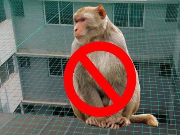 xr:d:DAF7bQGlWVE:4,j:8591033474717472821,t:24013106